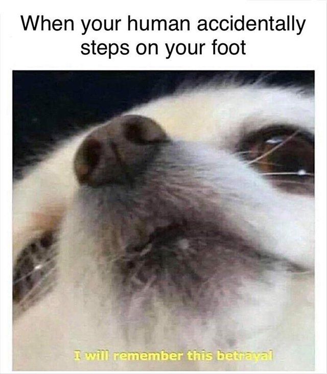 I am sorry little one