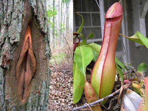 Nature at its best