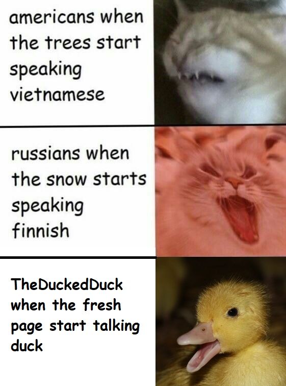 one more duck post