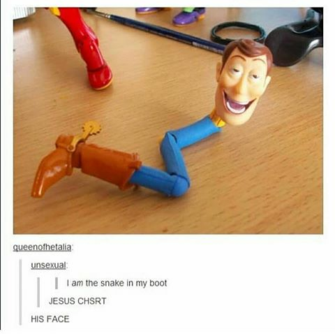 I AM THE SNAKE IN MY BOOT