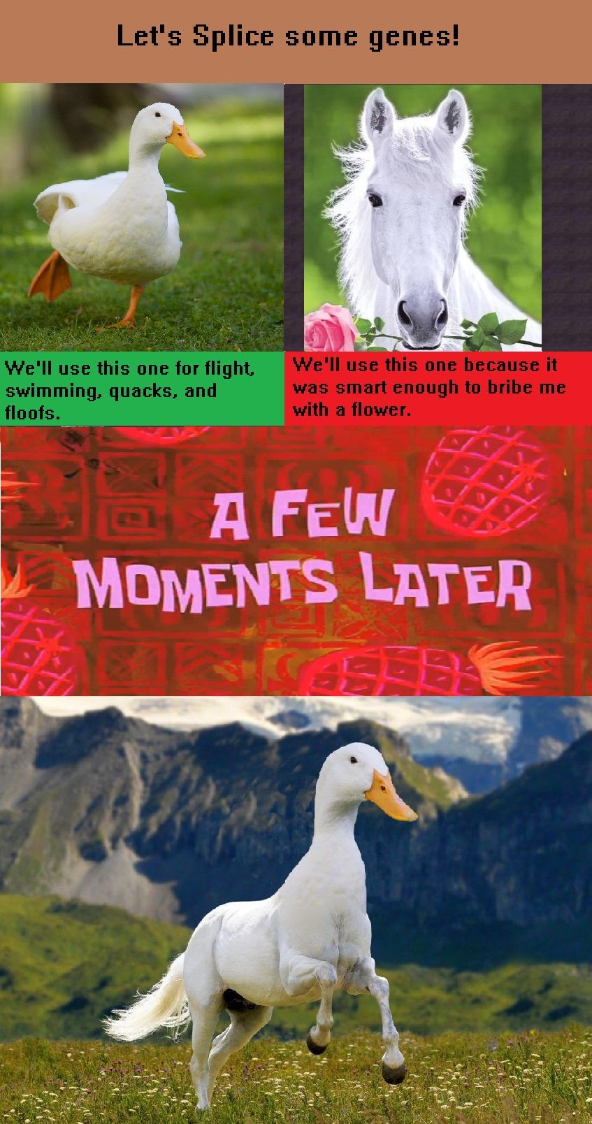 Kwack