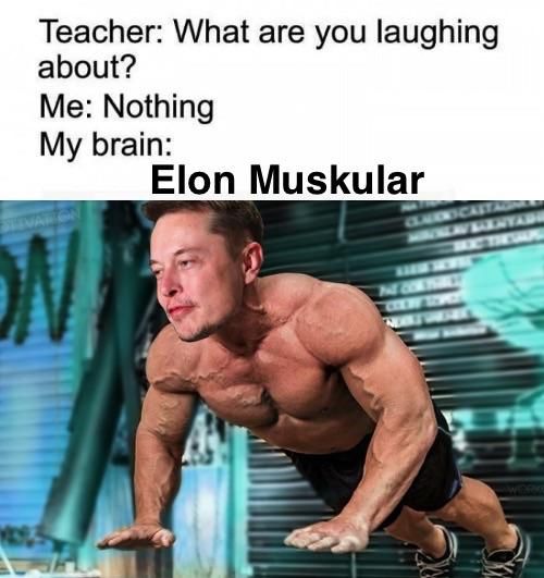 muskular