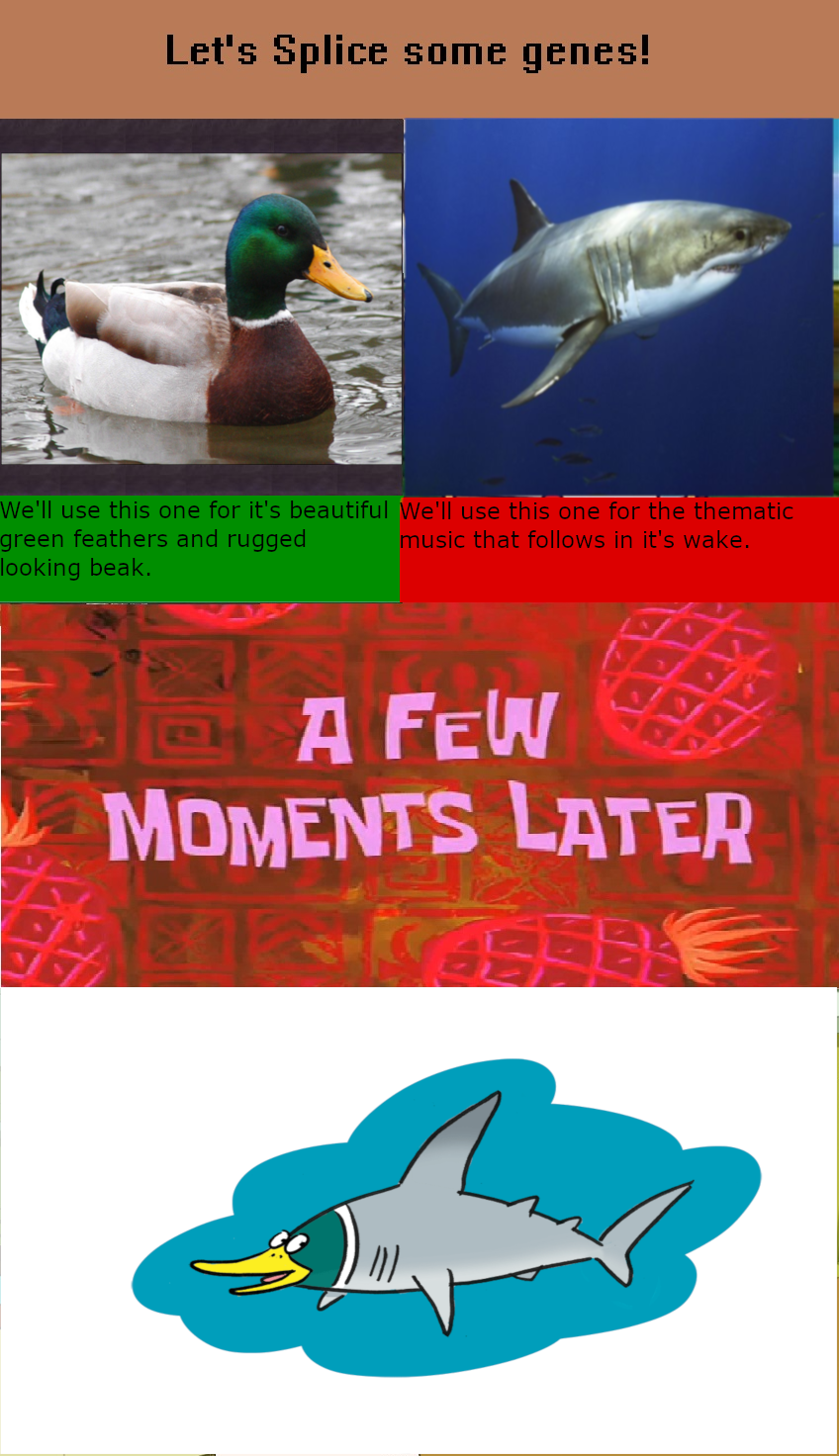 Obligatory DuckPost