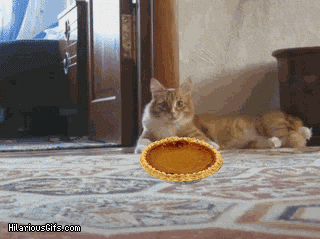 Don't touch my pie