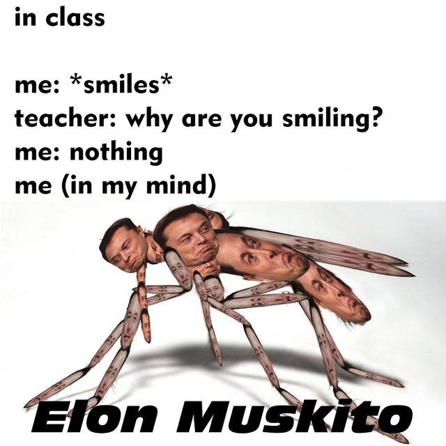 musk