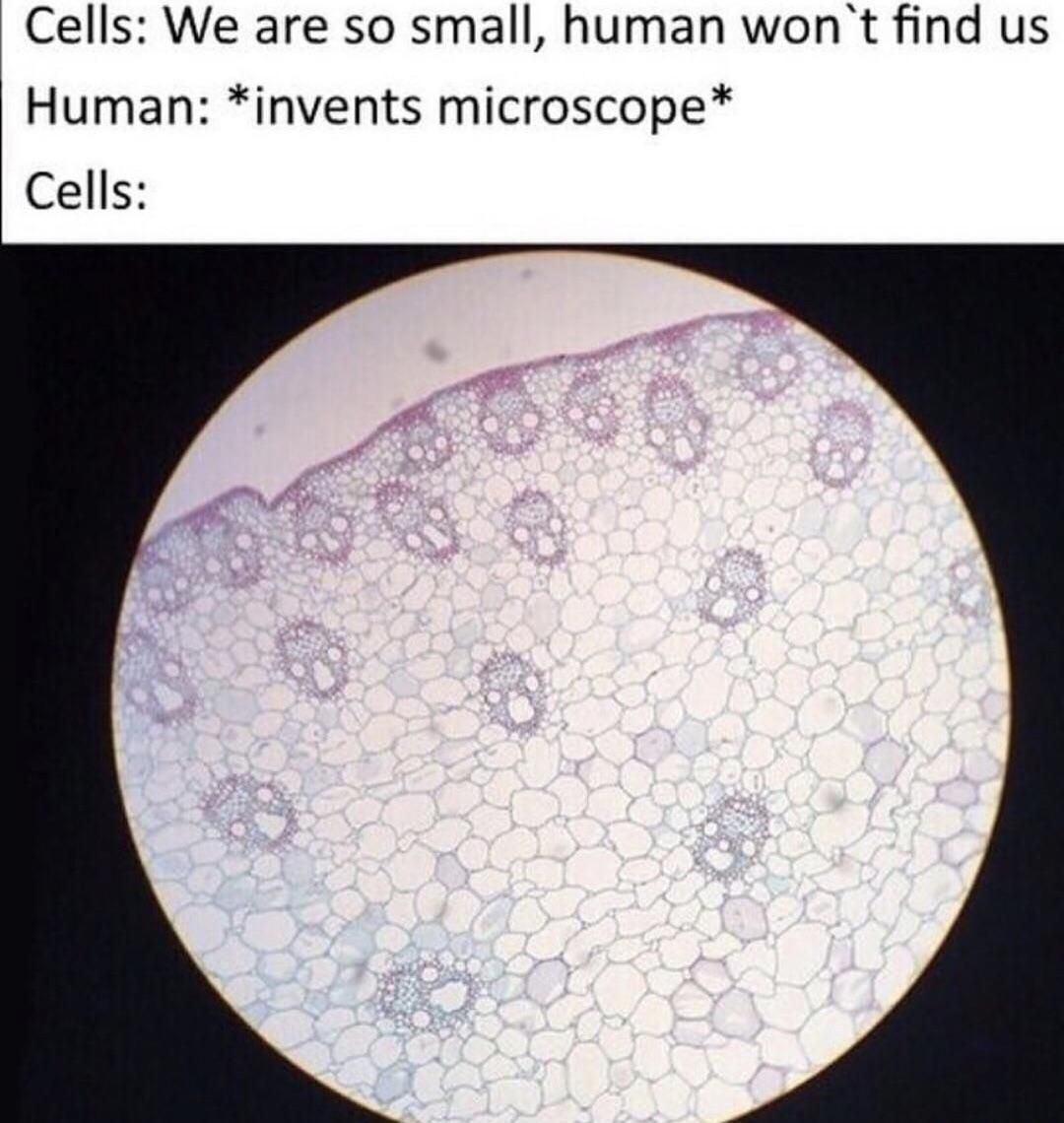I’m a cell-out