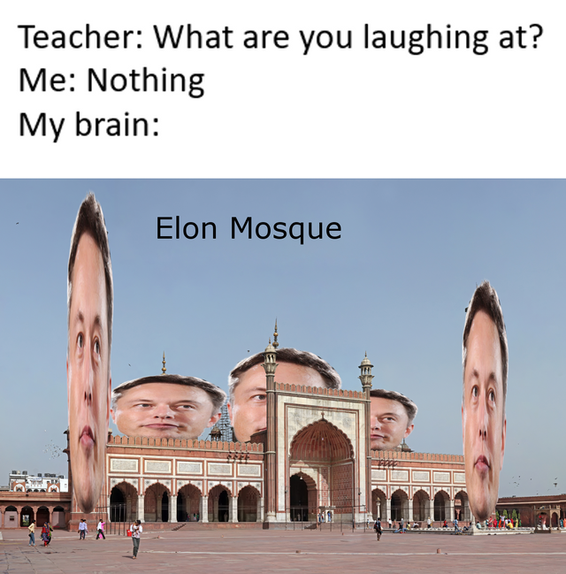 elonposting
