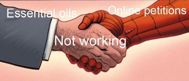 true