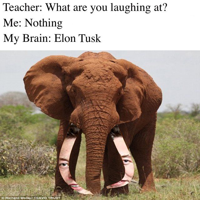 this one is actually good