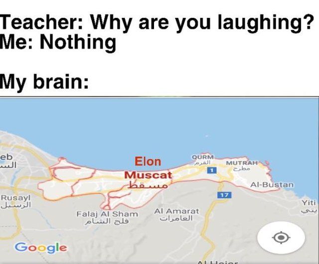 last one I promise