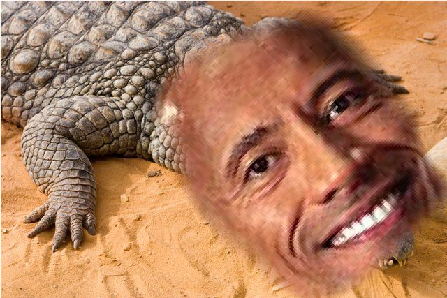 Dwayne "The Croc" Johnsen