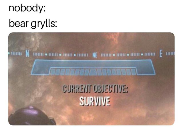 finally a post without musk or a cow