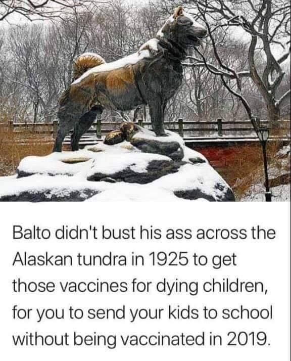 Balto didn't suffer for this bullshit