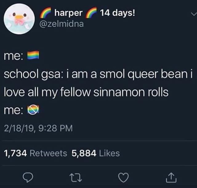 its ok to be gay, but not so