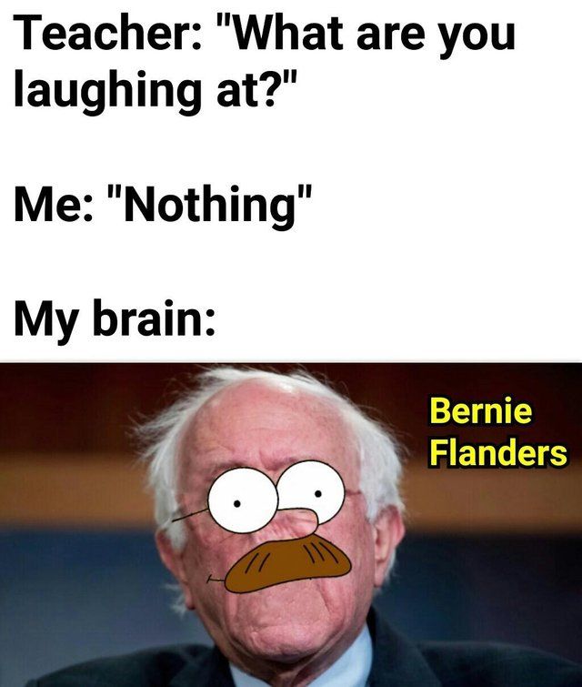 damn sanders