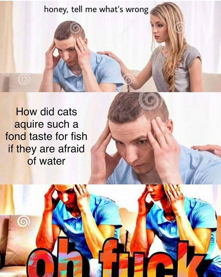 Asking the real questions