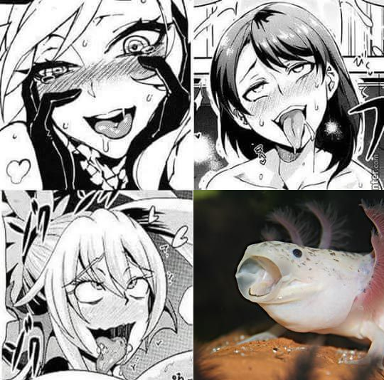 Yaaaugh That's Hot