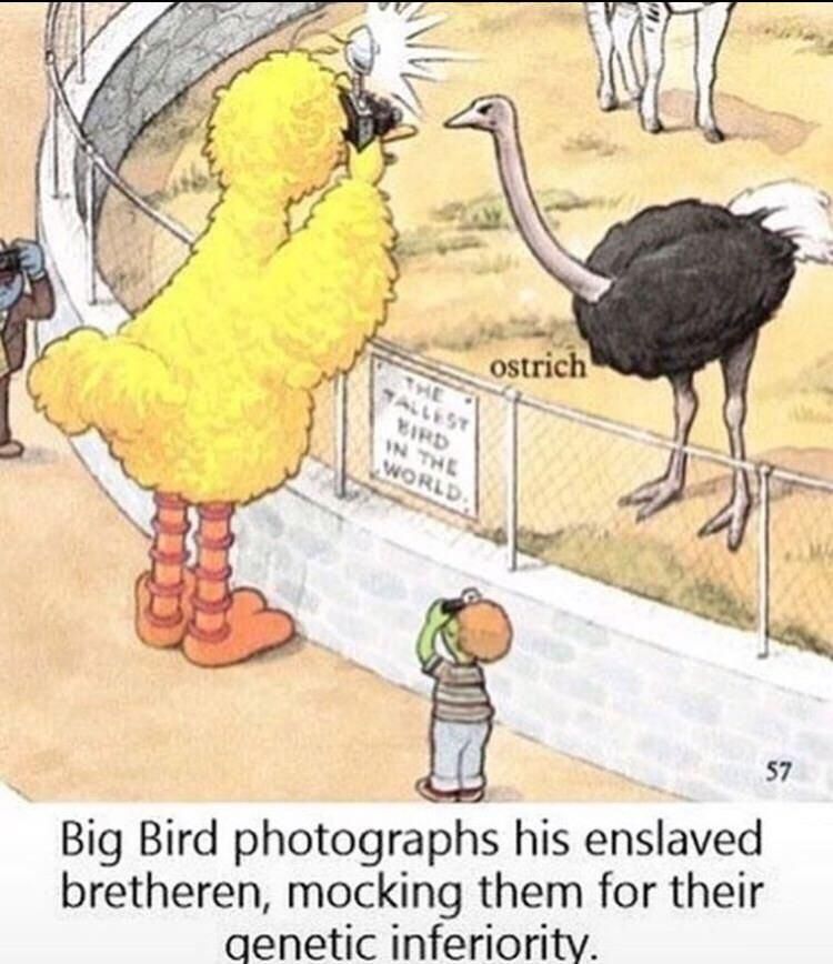 Big bird is superior