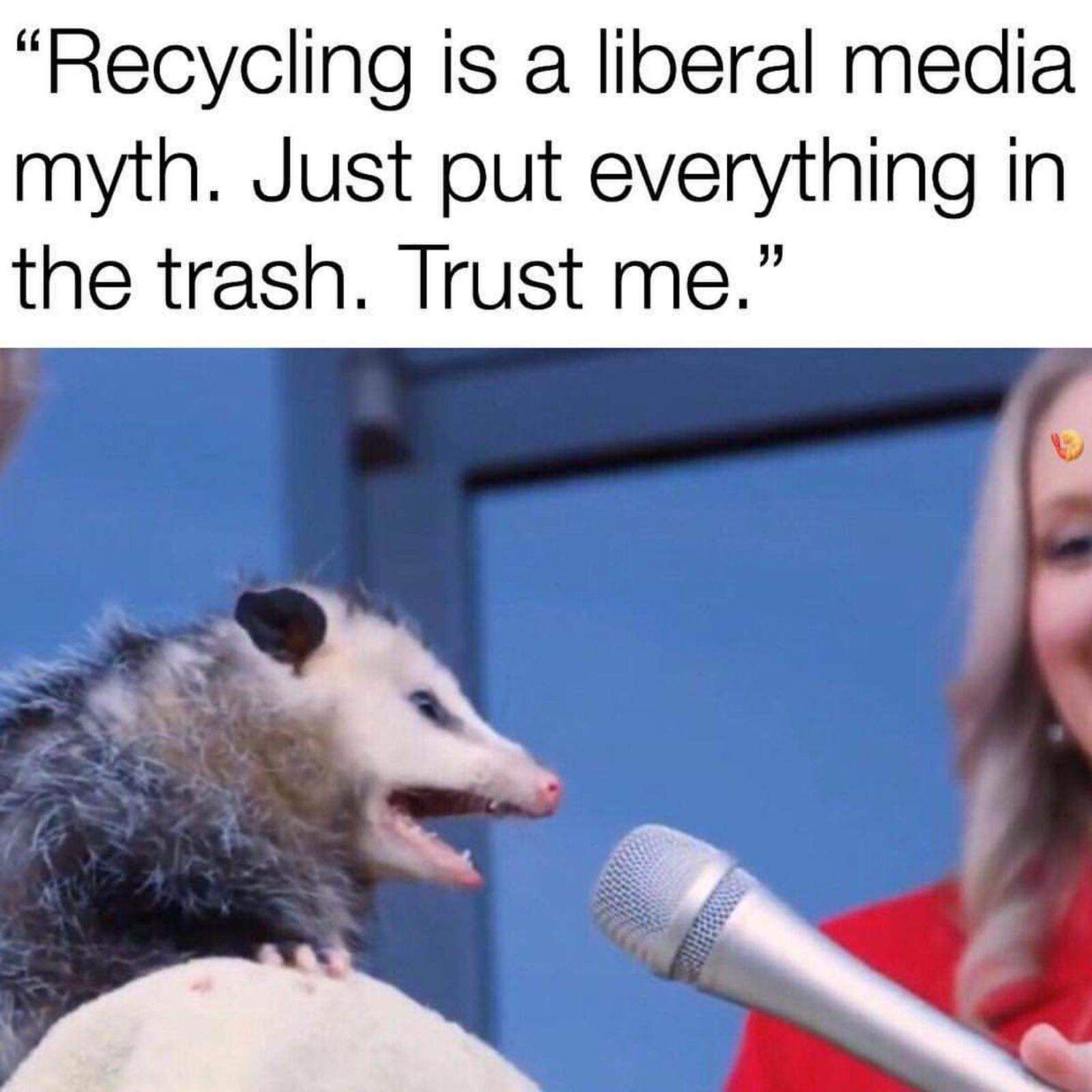 ***ing Mainstream Media