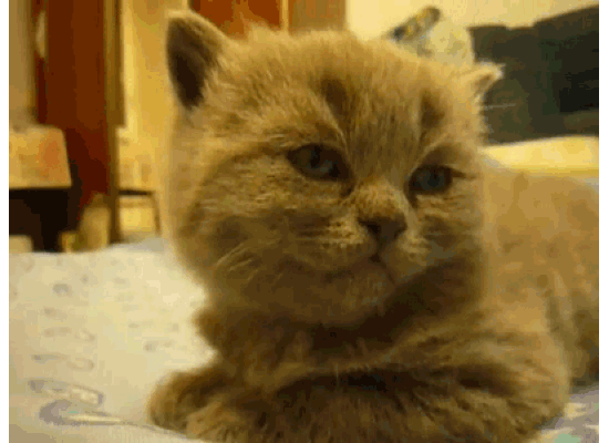 When I realise it isn't Friday yet