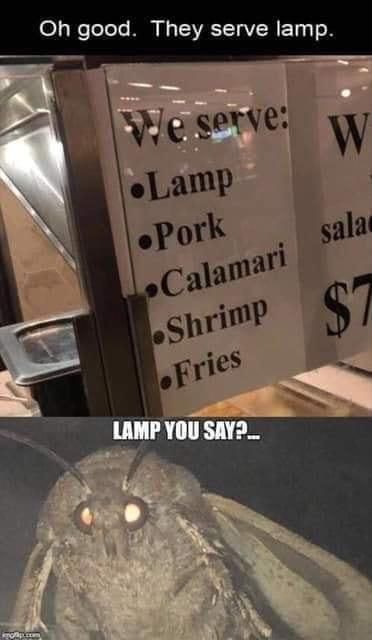 Just give the guy some lamp