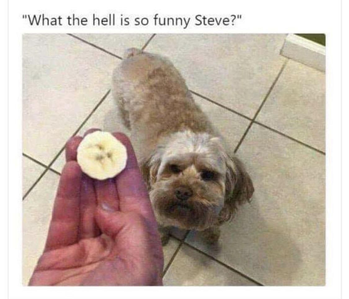 What’s funny Steve?