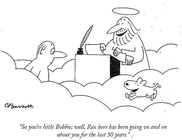 If you owned a dog as a kid, this cartoon is for you.