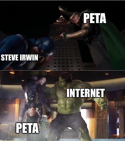 We got you Steve
