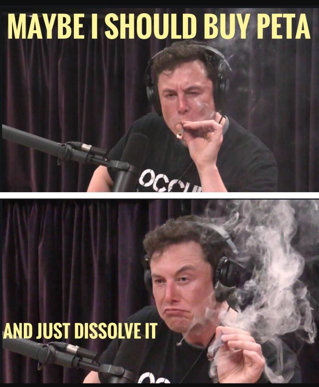 Plz Elon