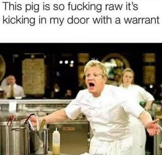 shit pig
