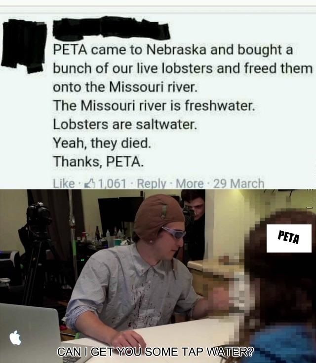 Thanks PETA