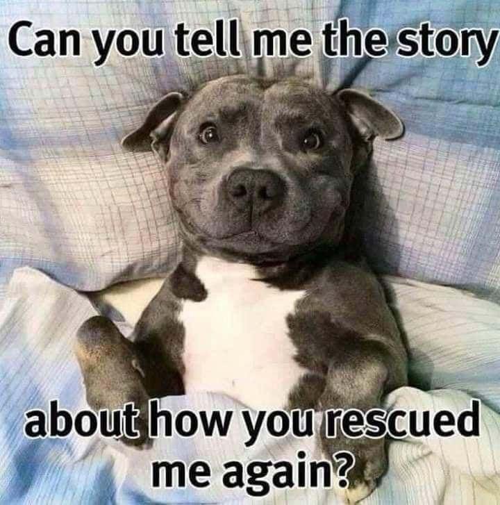 What's your rescue story? :)