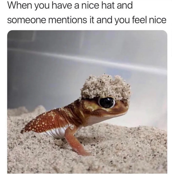Nice hat!