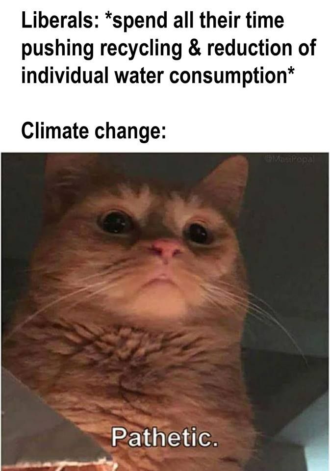 don't forget banning plastic straws!