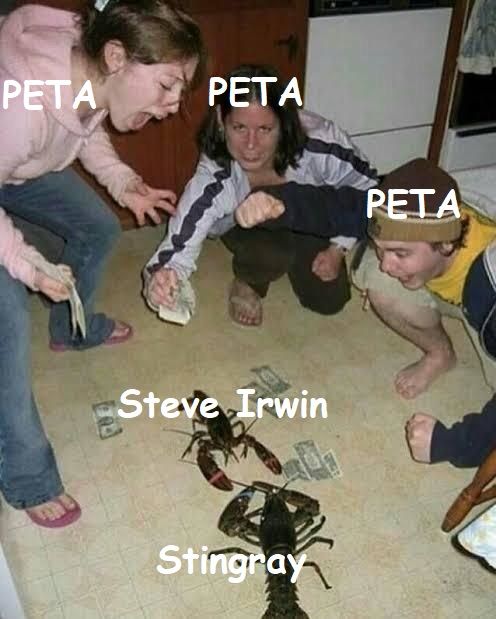 I am telling you, they plotted it!