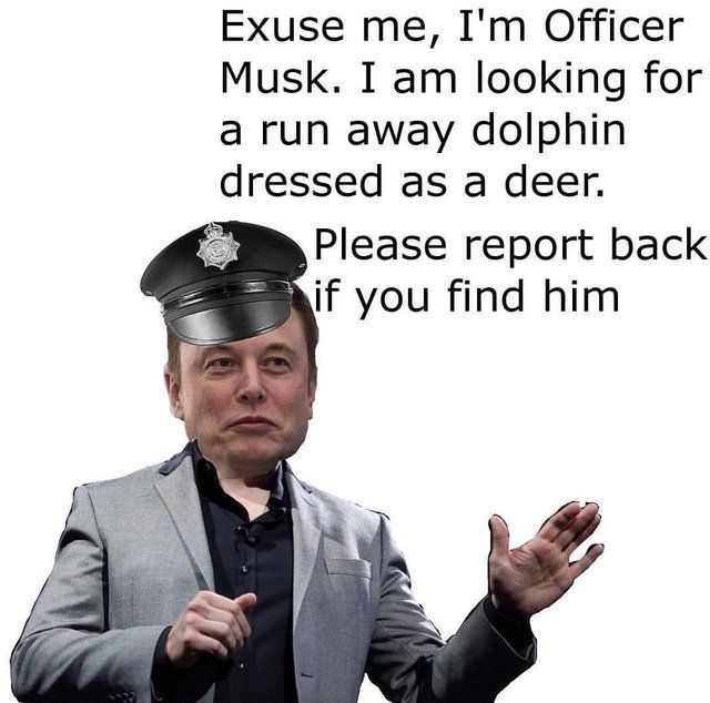Never saw anything, sorry Mr. Officer