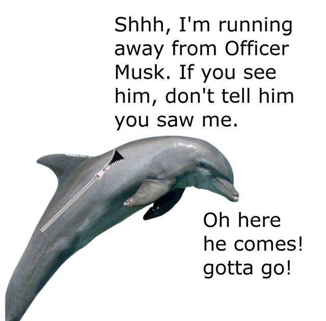 Oh no, keep going you poor thing!