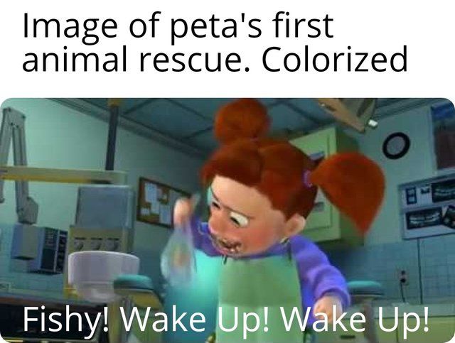 YOU ARE BEING RESCUED