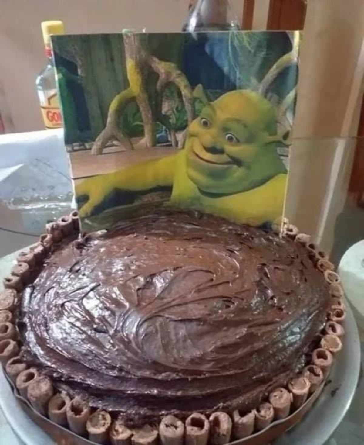 This is my swamp...
