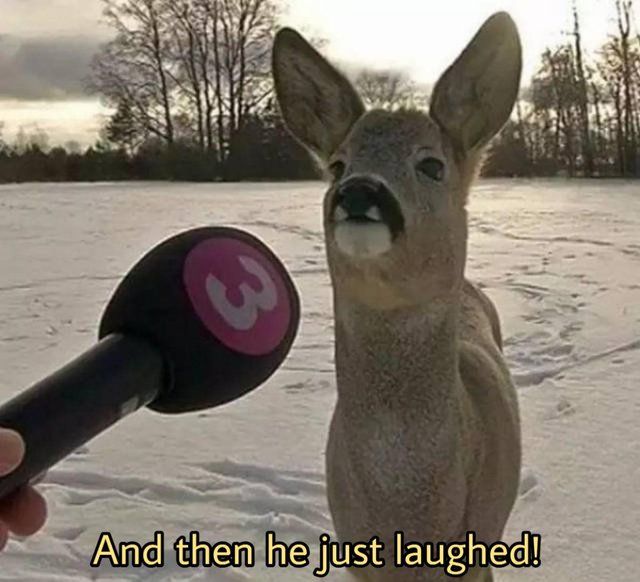 Oh deer