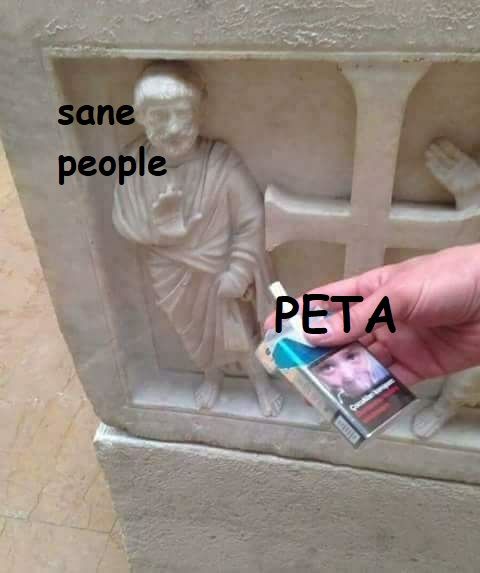 they are as cancerous as cigarettes