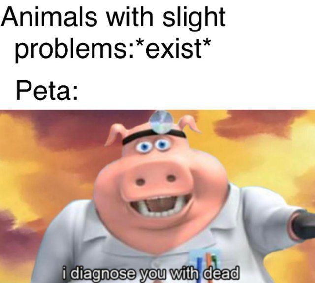 Time to help this poor animal