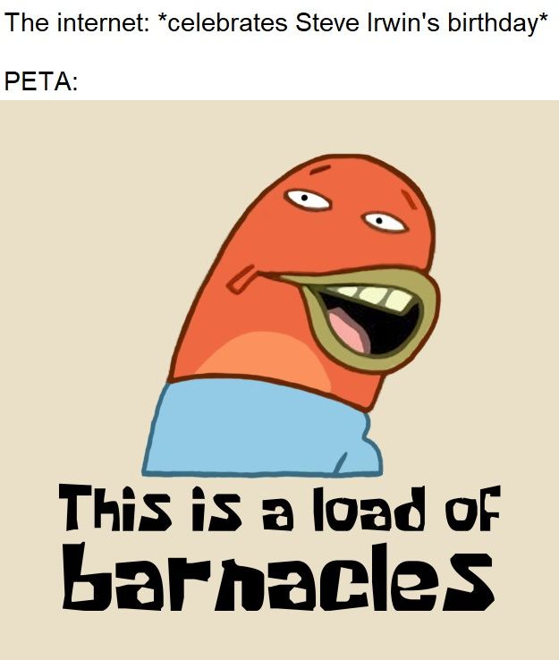 this is so sad can we hire a hitman to kill PETA