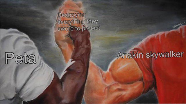 Yeet on them
