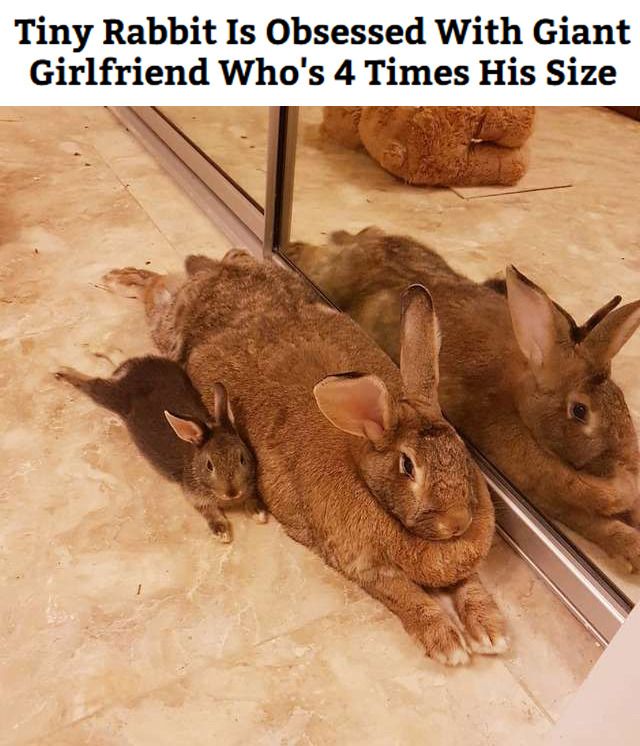 literally me