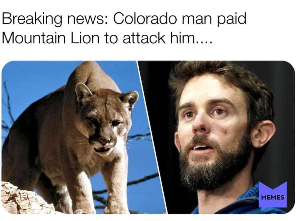 Breaking News Colorado Man Paid Mountain Lion To Attack Him....