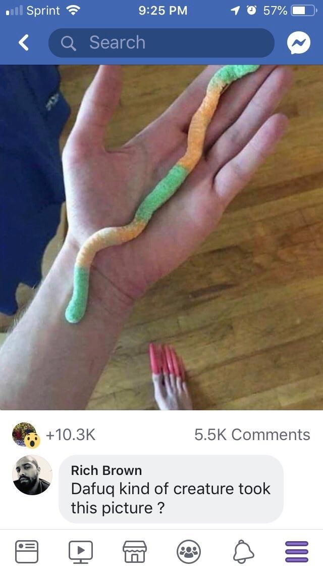 captioned “the worlds longest gummy worm”