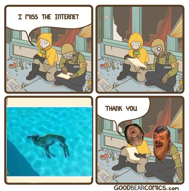 high IQ humour