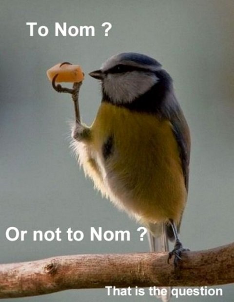 To Nom or not to Nom?
