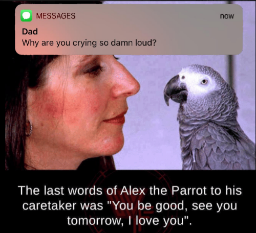 Alex was a good boy